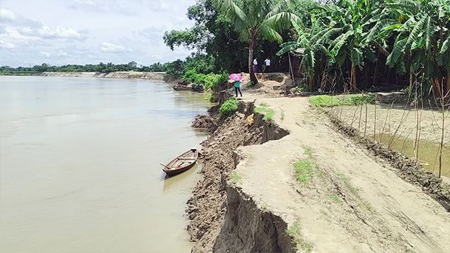 ব্রহ্মপুত্রের পেটে খোদাবক্সপুর, বাড়ি হারানোর আতঙ্কে শত শত পরিবার