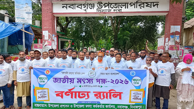 নবাবগঞ্জে জাতীয় মৎস্য পক্ষ উপলক্ষে বর্ণাঢ্য র‌্যালি ও আলোচনা সভা