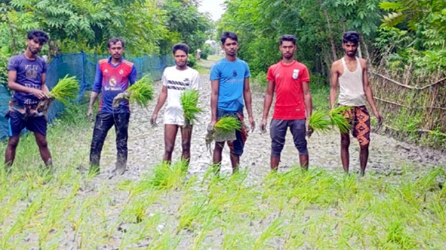 শ্যামনগরে রাস্তা সংস্কার না হওয়ায় ধান রোপণ করে প্রতিবাদ