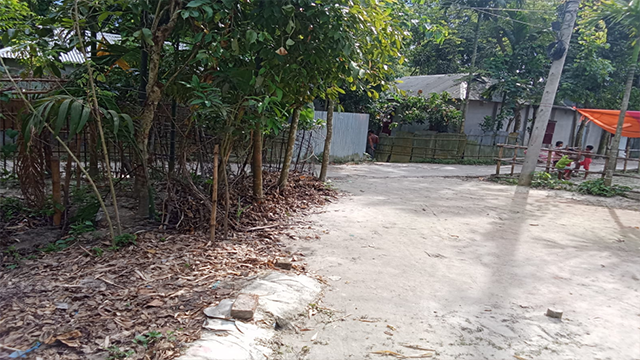 সুন্দরগঞ্জে চলাচলের রাস্তা বাঁশ-গাছ দিয়ে বন্ধের অভিযোগ, সরকারি গাছ কর্তন