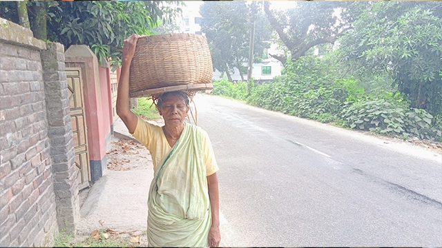 মাথায় মাছের ঝুড়ি আর বুকে একাকিত্বের ক্ষত, সনেকা রায়ের ২০ বছরের সংগ্রাম