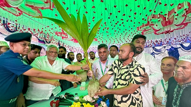 তেঁতুলঝোড়ায় চারা বিতরণ করলেন এমপি আমান উল্লাহ আমান