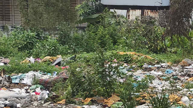 জমে থাকা পানিতে এডিসের বিস্তার, ঢাকার ঘনবসতিতে ডেঙ্গুর ভয়াবহ ঝুঁকি