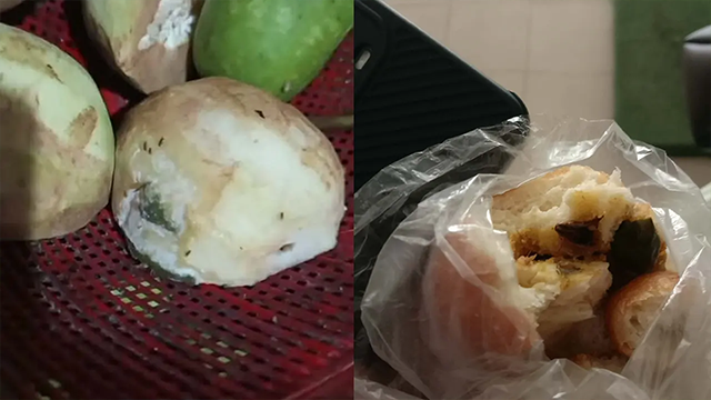 ইডেনের হল-ক্যান্টিনে খাবারের ভয়াবহ চিত্র, পচা সবজি-পোকা আর অস্বাস্থ্যকর রান্নাঘর