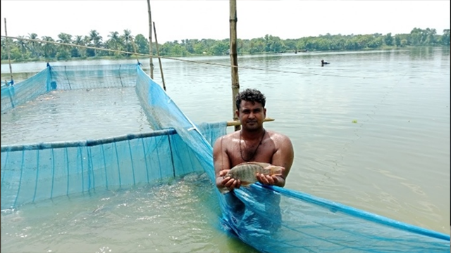 যশোরের জলাবদ্ধতা এখন রূপ নিয়েছে মৎস্য শিল্পে