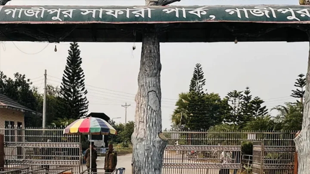 গাজীপুর সাফারি পার্কে কর্মচারীদের হামলার শিকার দর্শনার্থী, মামলা