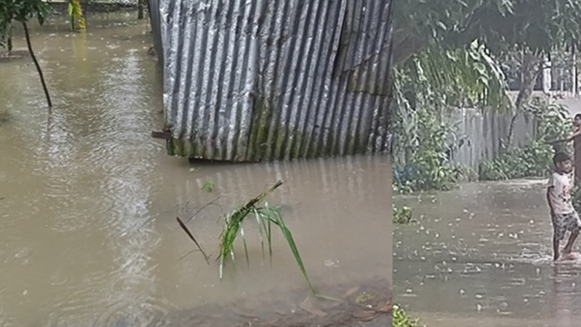 ভোরের টানা বৃষ্টিতে জলাবদ্ধ দোহার, স্কুল-মাদ্রাসার পরীক্ষা স্থগিত
