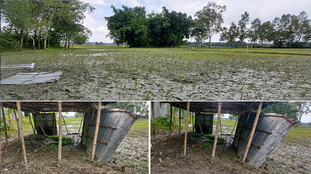 গঙ্গাচড়ায় আদালতের আদেশ অমান্যের অভিযোগ, জমি বেদখলের চেষ্টা