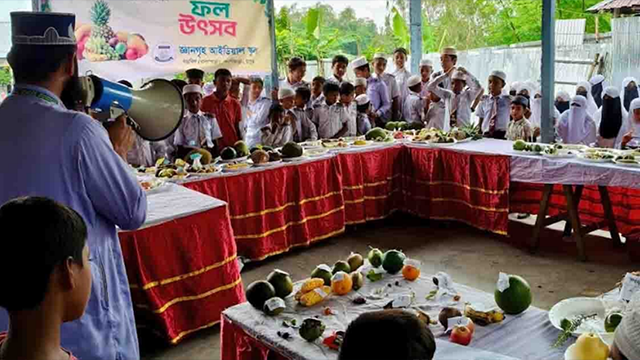 গঙ্গাচড়ায় জ্ঞানগৃহ আইডিয়াল স্কুলে ফল উৎসব