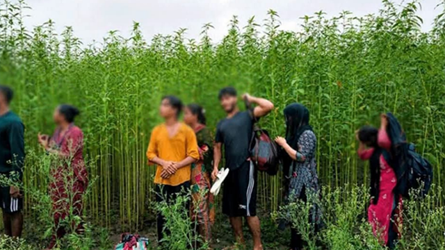 কুষ্টিয়া সীমান্তে ৮ জনকে পুশইনের চেষ্টা প্রতিহত করল বিজিবি