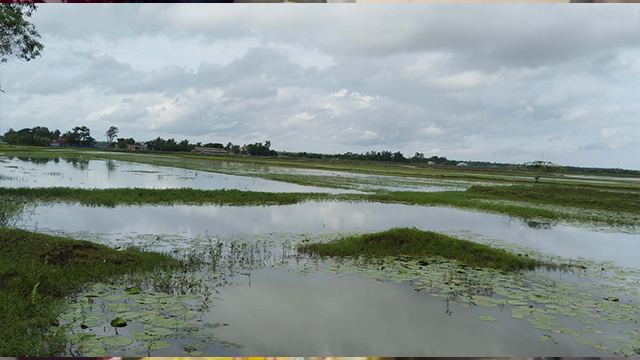 ঝুরঝুরি খালে পানি নিষ্কাশনের ব্যবস্থা নেই, জলাবদ্ধতায় শ্যামনগরে হাজার বিঘা ফসলি জমি তলিয়ে